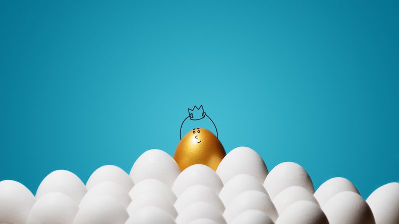 best egg in the hatch better business results