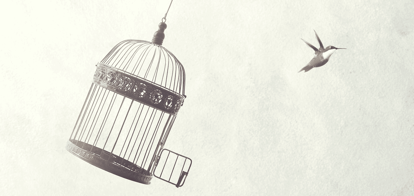 bird flying from cage for freedom