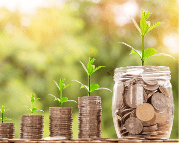 business growth and plant comparison