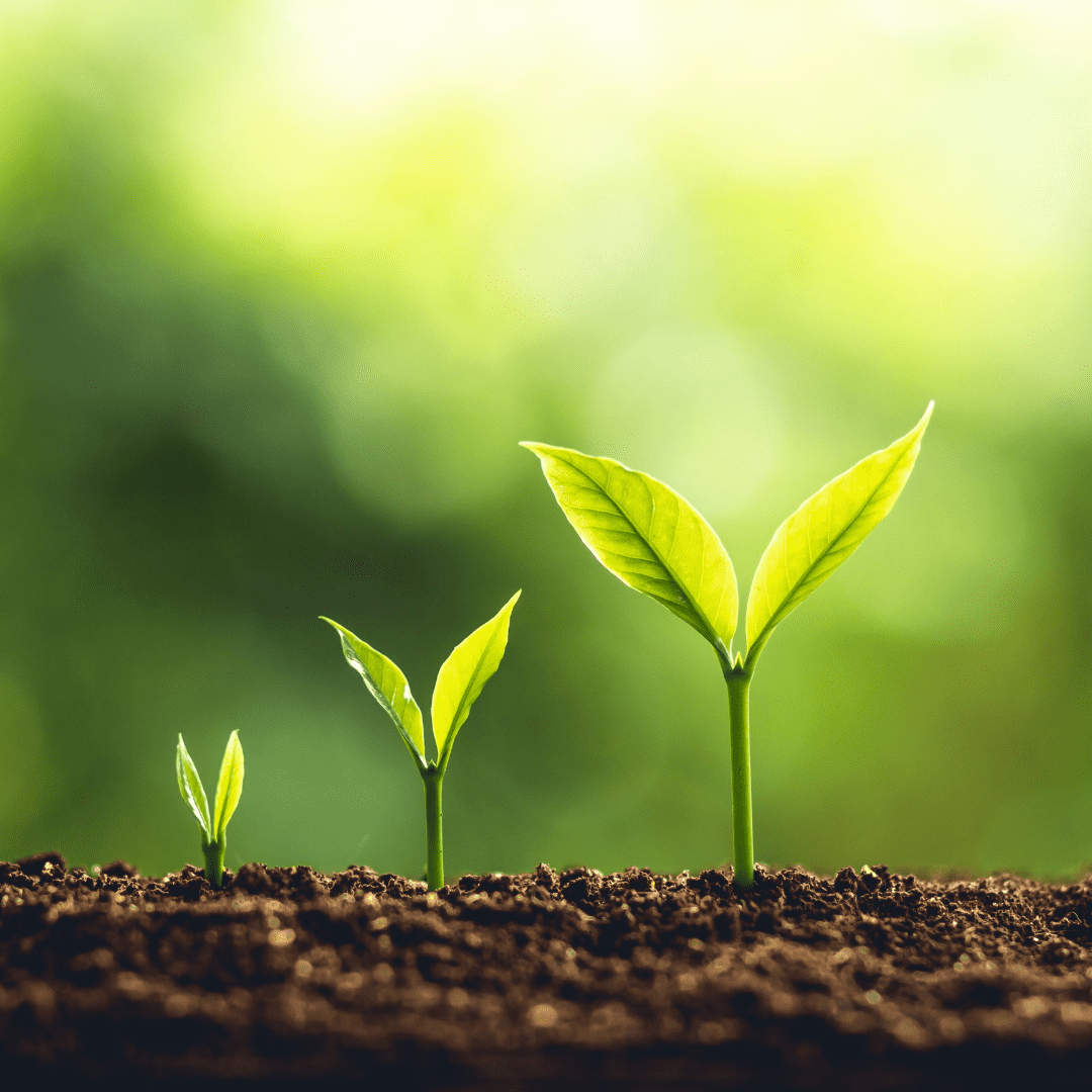 how to sell my business green shoots