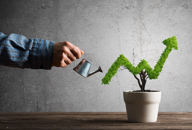 strategic imperatives for growing a small business - watering a plant to make it grow arrow
