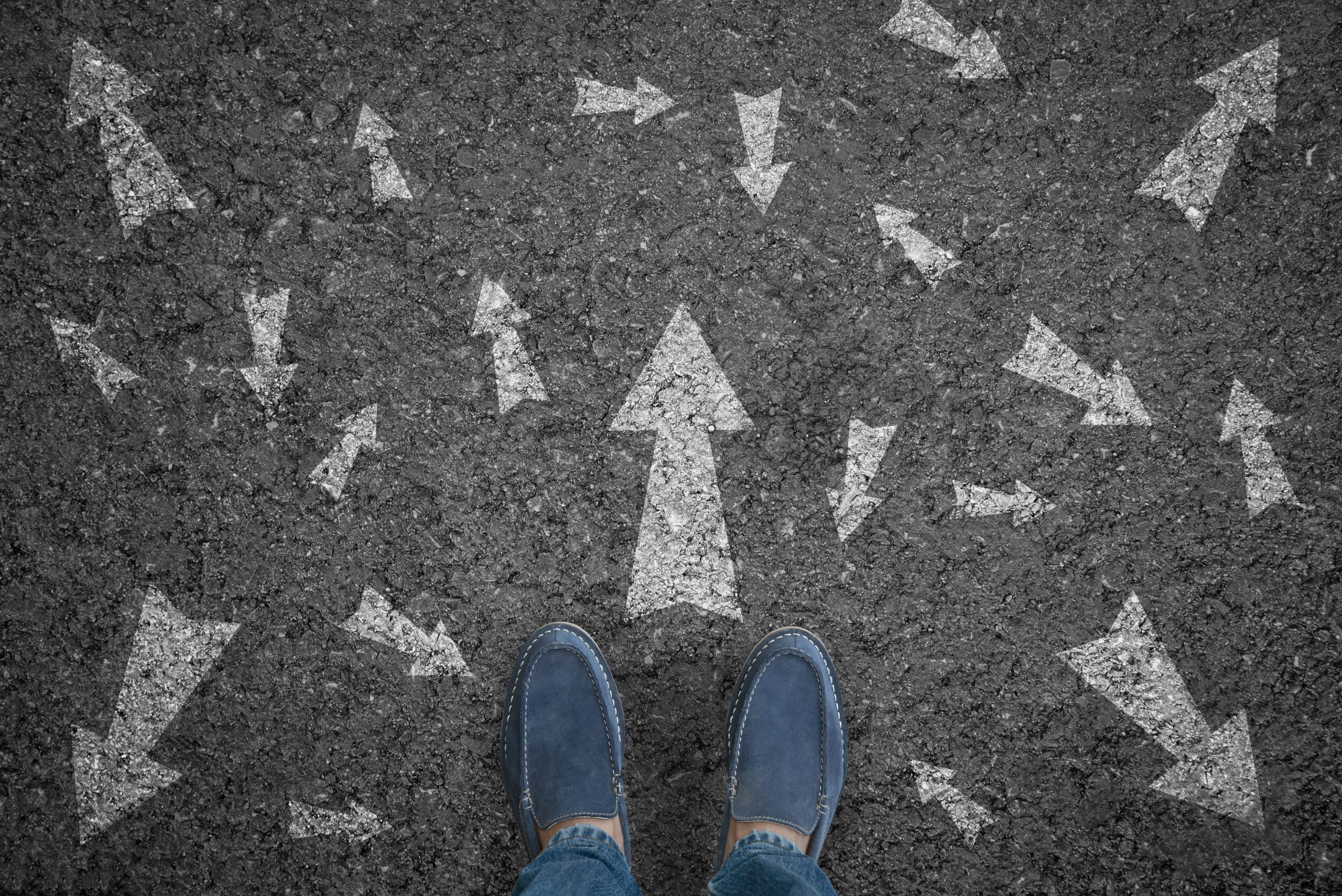 Multiple business directions