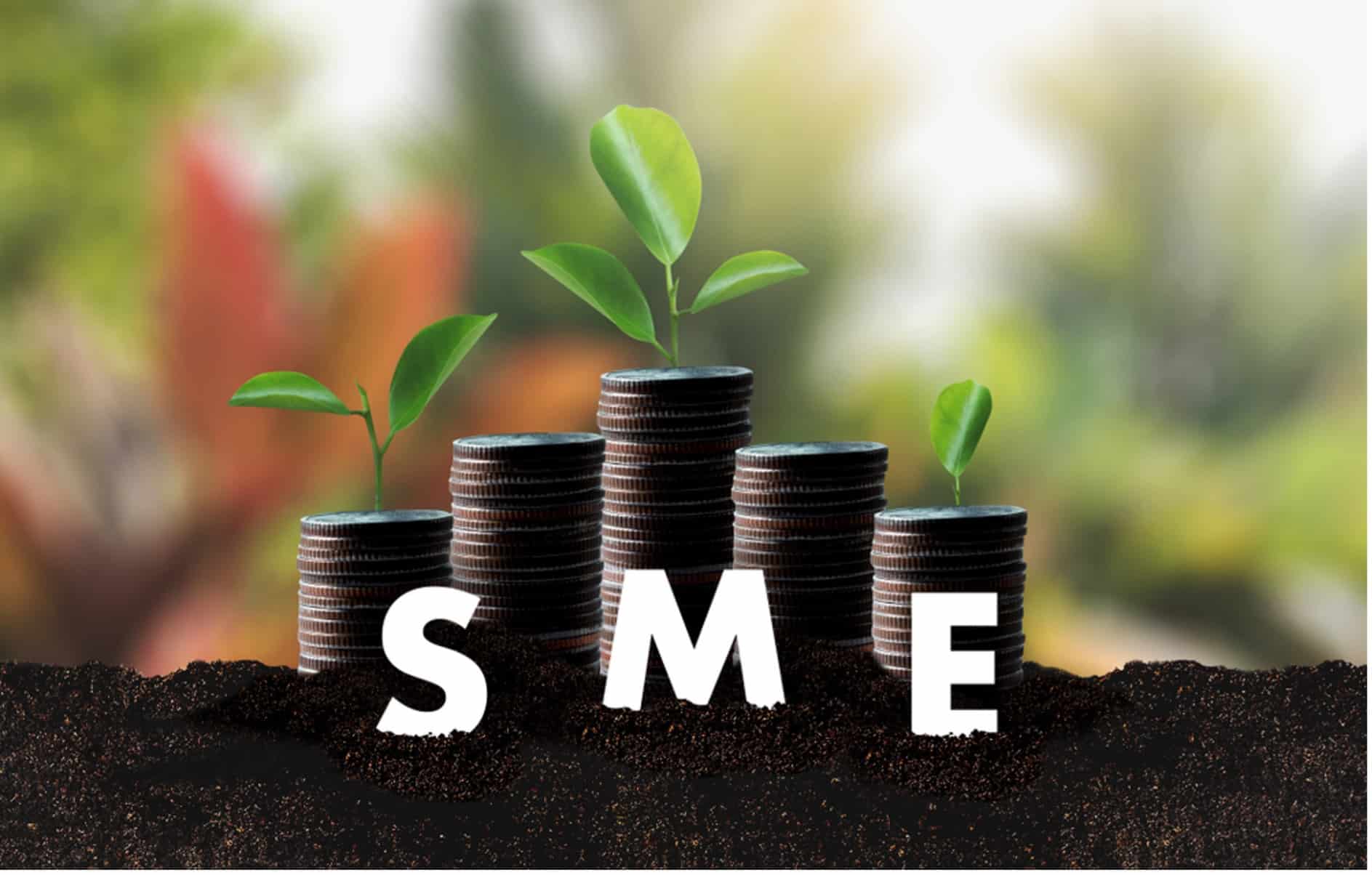 strategic planning for small business - money, coins and SME