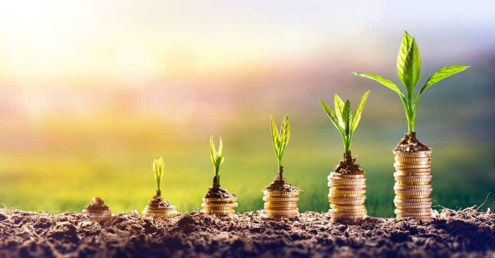 How to grow a small electrical business | growing money