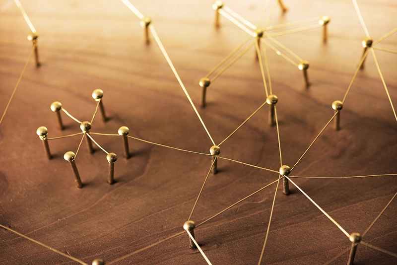 networking pins professional networking tips