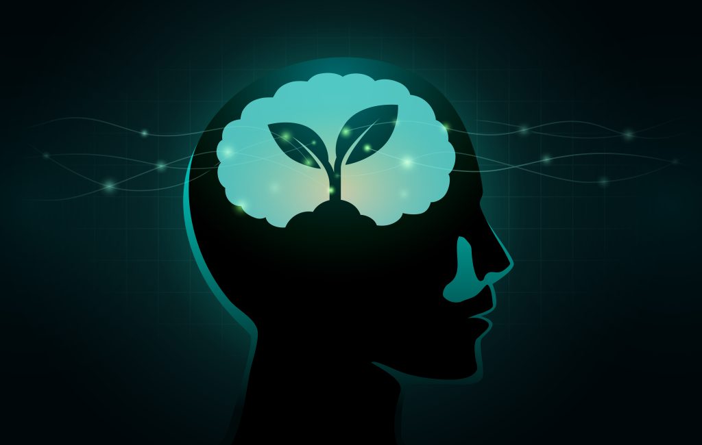 7 steps to nurturing a business mindset: An outline for UK small business owners